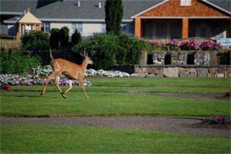 Oregon Garden Resort Silverton Buitenkant foto